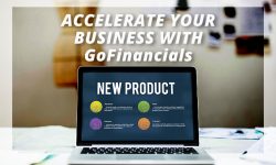 Promote Web Based Accounting Software in the Cloud